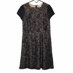 Ann Taylor Loft Lace Dress